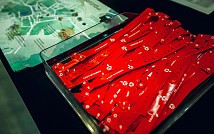 02_7002.jpg